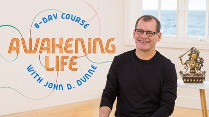 Awakening Life
